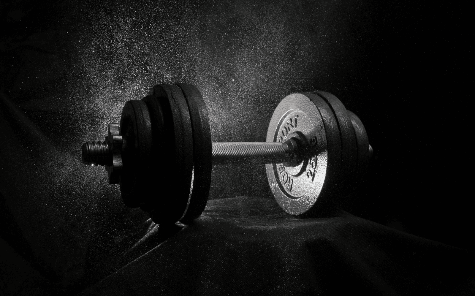 DumbellMax gallery 3